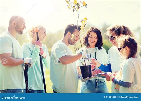 Group Of Volunteers Planting Trees In Park Stock Photo Image Of Plant