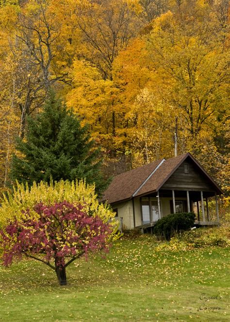Country Autumn Minnesota Autumn Scenery Scenery House In The Woods