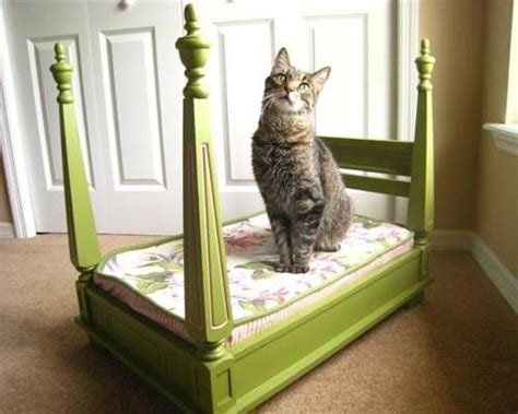 10 Crazy Awesome Diy Cat Beds That Anyone Can Make