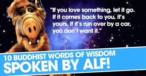 Today, we will hear from federal law enforcement enjoy reading and share 44 famous quotes about alf with everyone. Funny Alf Quotes. QuotesGram