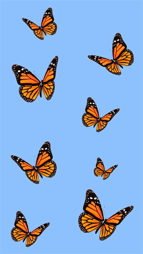 Vsco Butterfly Laptop Wallpapers Wallpaper Cave