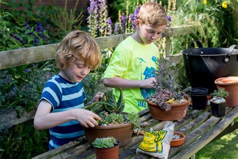 10 Gardening Projects For Kids Bbc Gardeners World Magazine
