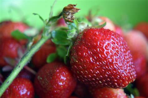 Strawberries Strawberry Fruit Free Photo On Pixabay Pixabay