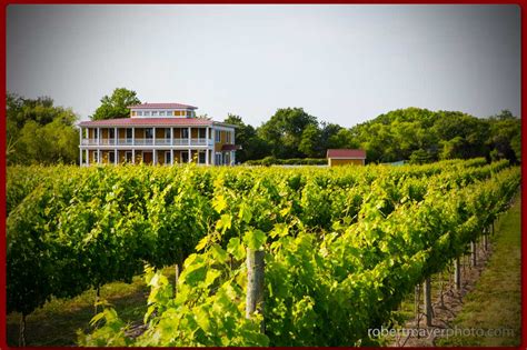 Welcome Willow Creek Winery And Farm Cape May Nj