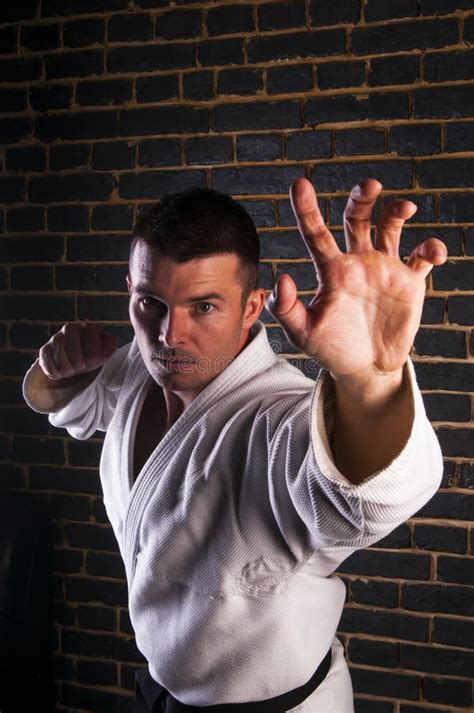 Handsome Man Practicing Brazilian Jiu Jitsu Stock Photo Image Of
