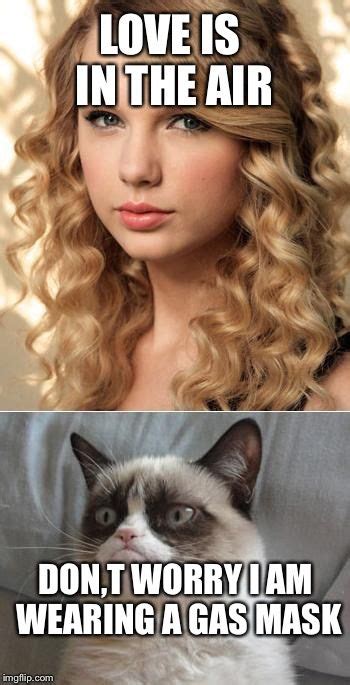 Grumpy Cat Says No To Taylor Swift As Nyc Global Welcome Ambas
