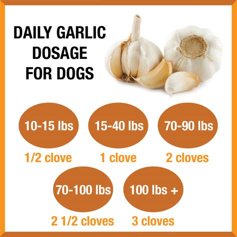 Fleas will abandon a dying animal for the nearest live one. How Much Garlic is Safe for Dogs? | TruDog®