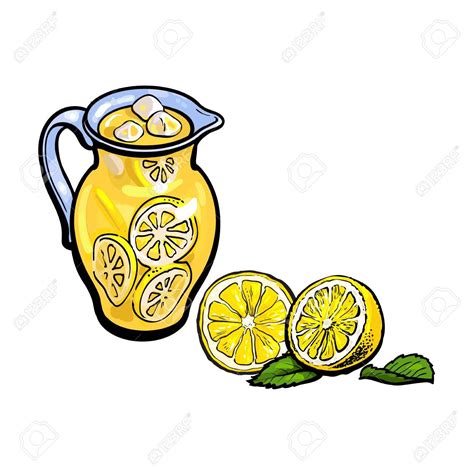 Vector Sketch Cartoon Lemonade Glass Jug Pitcher With Handle Sliced Lemons With Leaves Set
