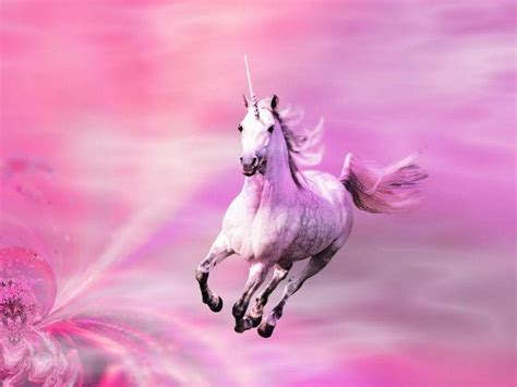 Pink Shimmers Unicorns Wallpaper 10796170 Fanpop Page 7