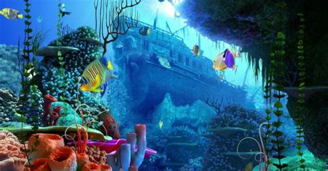 Ocean Dream Eden Aquarium 3d Screensaver New Age Hd 1080p New
