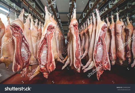 Stored Cold Meat Sponsored Spon Storedcoldmeat Cold Meat