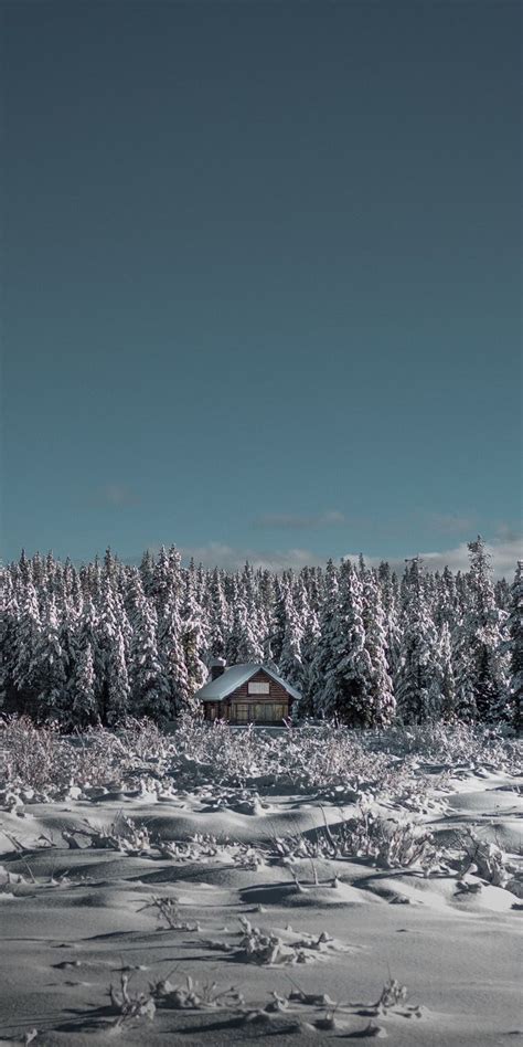 House Winter Tree Landscape Nature 1080x2160 Wallpaper