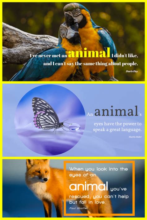 10 Best Animal Powerpoint Templates For 2021 Free And Premium