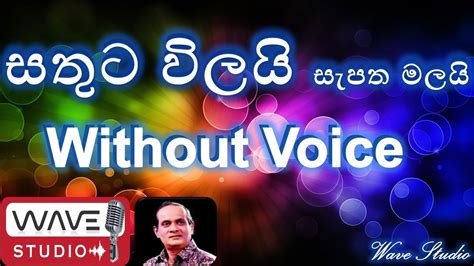 Sathuta Wilai Sepatha Malai Karaoke Without Voice සතුට විලයි සැපත මලයි