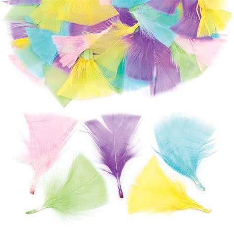Pastel Craft Feathers Baker Ross