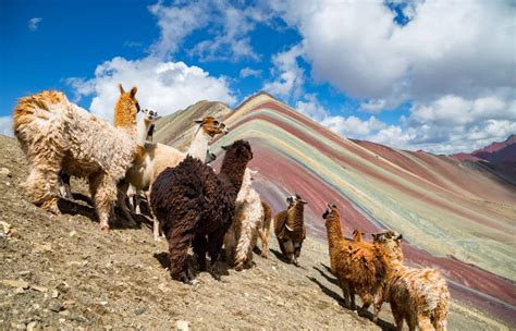 O Que Fazer No Peru 10 Lugares Para Conhecer Além De Machu Picchu