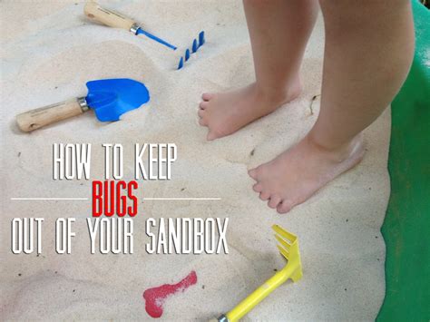 How do i keep cats out of the sandbox? EAT+SLEEP+MAKE: Tips: Keep Bugs Out of Your Sandbox