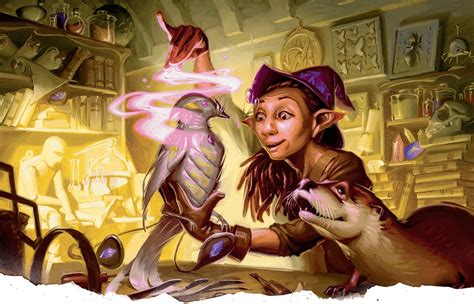 Rock Gnome Forgotten Realms Wiki Gnome Dnd Deep Gnome Types Of