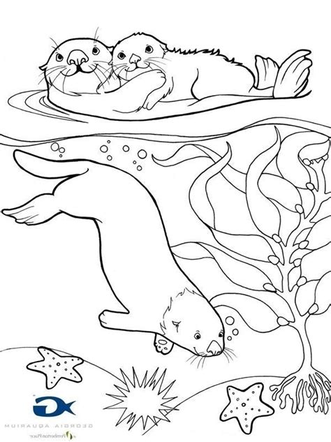 Baby Sea Otter Coloring Page Bird Coloring Pages Animal