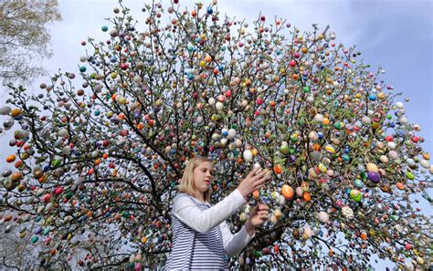 Tree Decorated With 10000 Easter Eggs Rukotvory