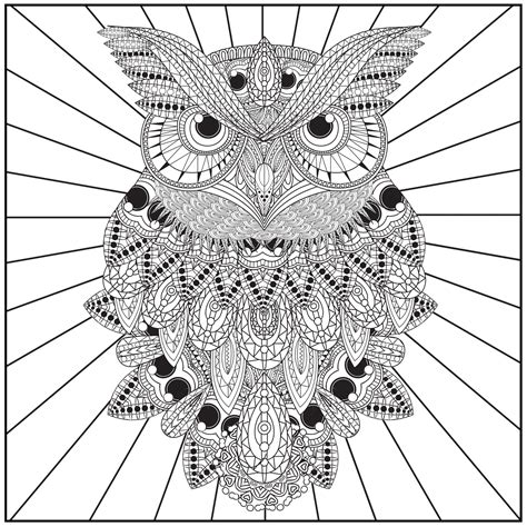 Shop Adult Coloring Books Tagged Owls Color With Music