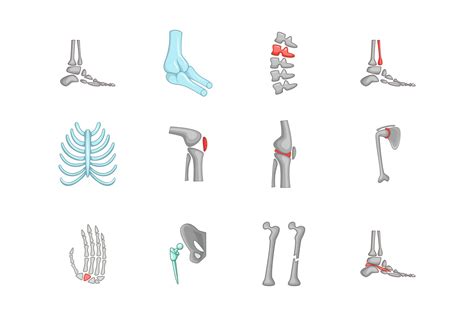 Human Bones Icon Set Cartoon Style Illustrator Graphics Creative