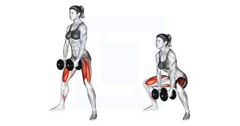 Dumbbells Sumo Squat Guide Benefits And Form