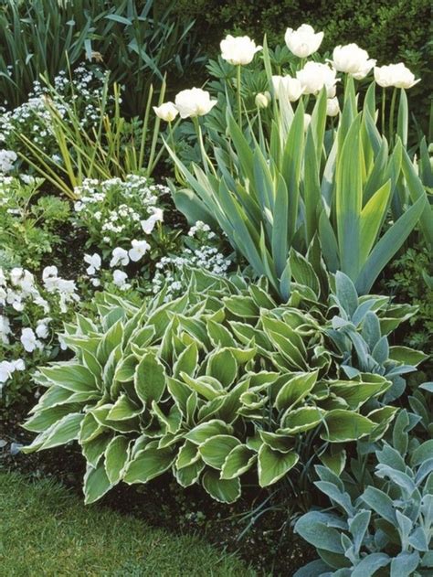 25 Beautiful Green And White Garden Ideas That You Need To Rebuild