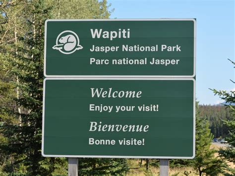 Wapiti Campground Jasper National Park Review A