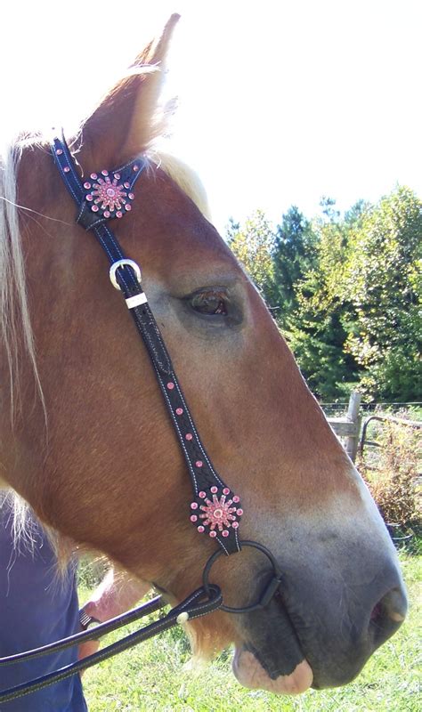 Draft Horse Black Leather One Eared Western Bridle With Pink Crystals