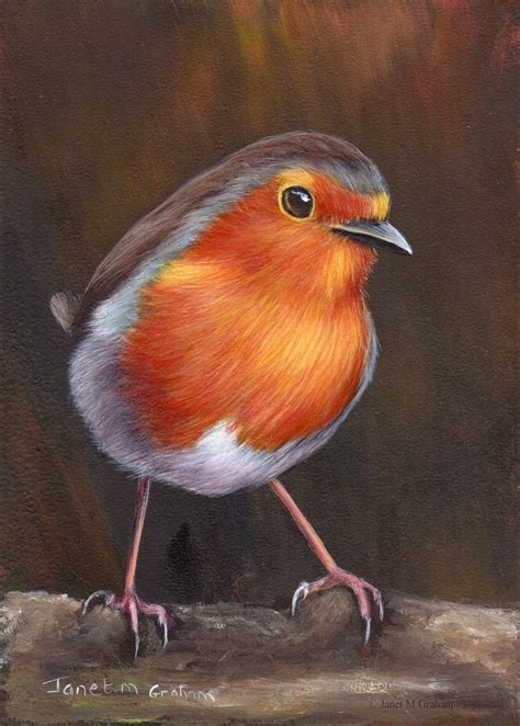 Bird Painting Art Robin Sfa Wildlife Painting Original Hand