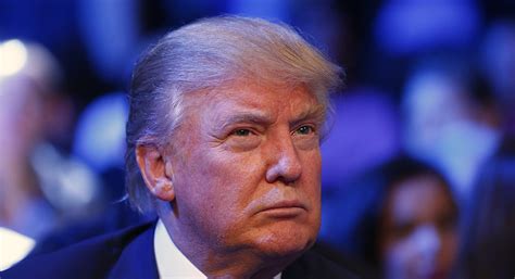 Before entering politics, he was a businessman and television personality. Donald Trump criticizes Trey Gowdy - POLITICO