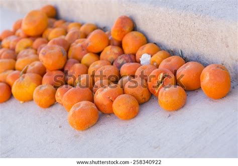 Rotten Oranges Stock Photo 258340922 Shutterstock
