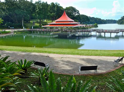 It was the donation of the philanthropist tan kim. hjtann photo blog: MacRitchie Reservoir Park