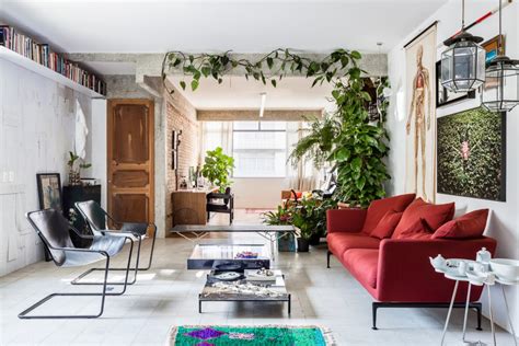 Piante da interno con foglia. 10 piante da interno verdi e belle con poca luce - Foto - LivingCorriere