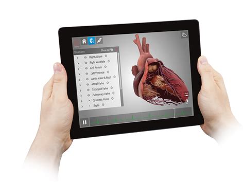 Heartworks Intelligent Ultrasound