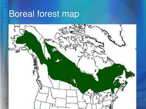 Map Of The Boreal Forest World Map
