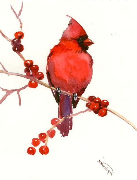 Watercolor Cardinal On Berried Branch Bird Art Watercolor Bird