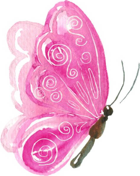 Free Online Butterfly Animal Watercolor Painting Vector For Design