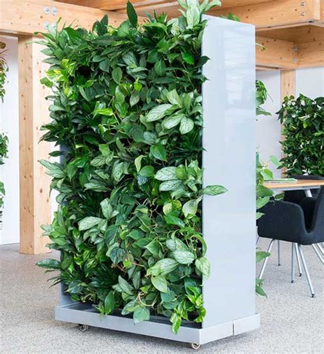 Raumteiler mit Pflanzen | Greenbop