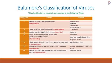 Baltimores Classification Of Viruses By Dr Richhpal Singh Youtube