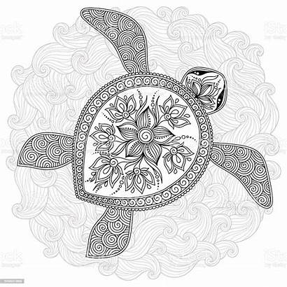 Turtle Coloring Pattern Decorative Coloriage Tattoo Graphic