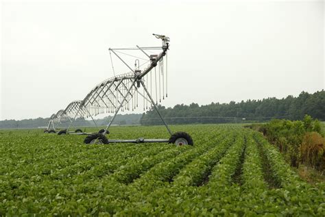 Crop Production Systems Agriculture And Natural Resources