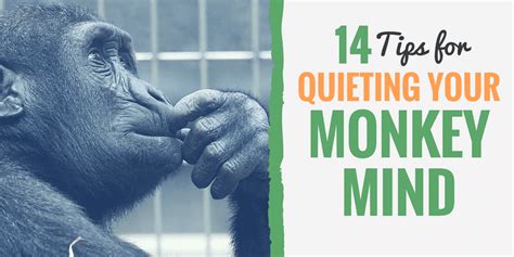 14 Tips To Tame Your Monkey Mind And Calm Your Thinking