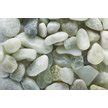 EXOTIC PEBBLES Polished Jade Reptile Terrarium Pebbles 20 Lb Bag