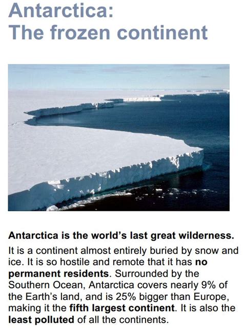 Antarctic Pearlwort Discovering Antarctica