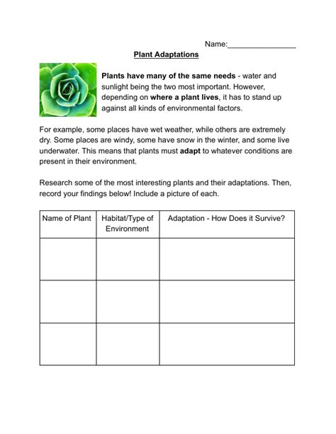 Plant Adaptations And Plants With Special Needs Grade 4 Science By