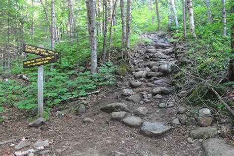 Valley News Trail Trials Mount Moosilauke Hike A Real Rock Show