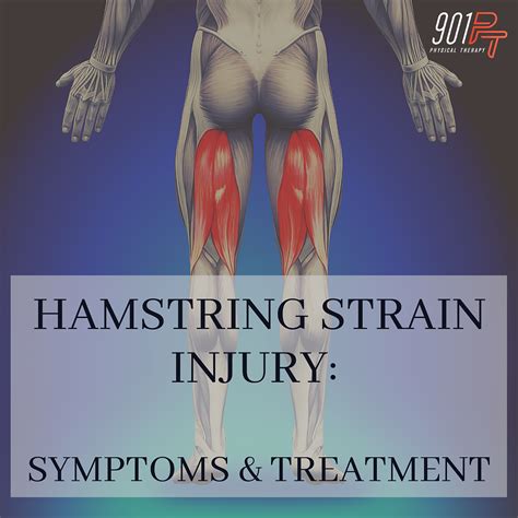 Hamstring Strain Injury Symptoms And Treatment
