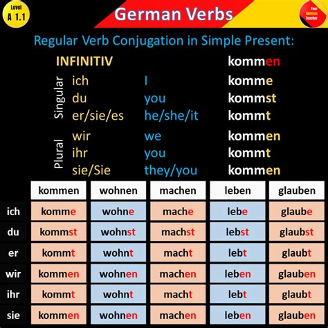 German Verb Conjugation In Simple Present การศึกษา